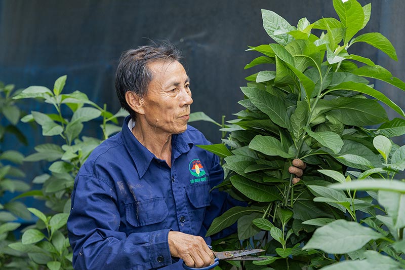 mô hình chăn nuôi quế lâm