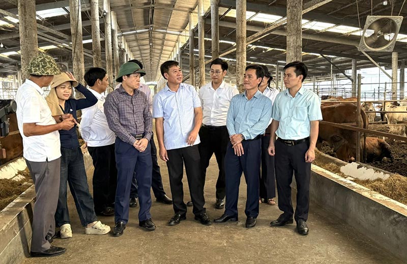 chăn nuôi công nghệ cao