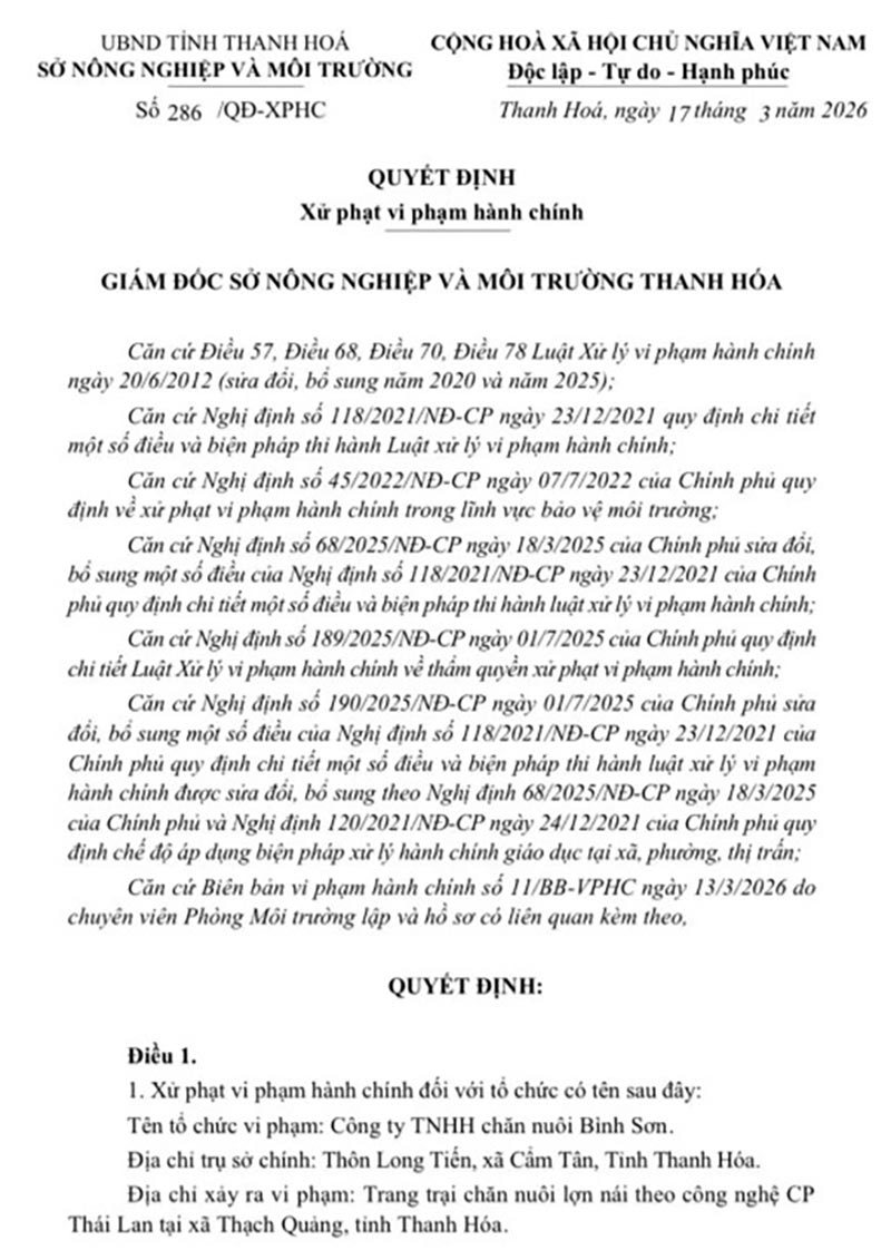 phạt doanh nghiệp chăn nuôi xả thải ra môi trường