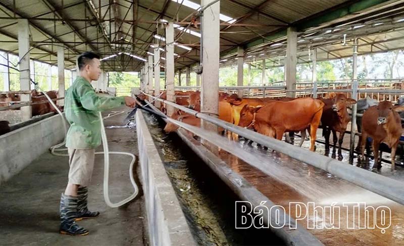 sử dụng điện chăn nuôi