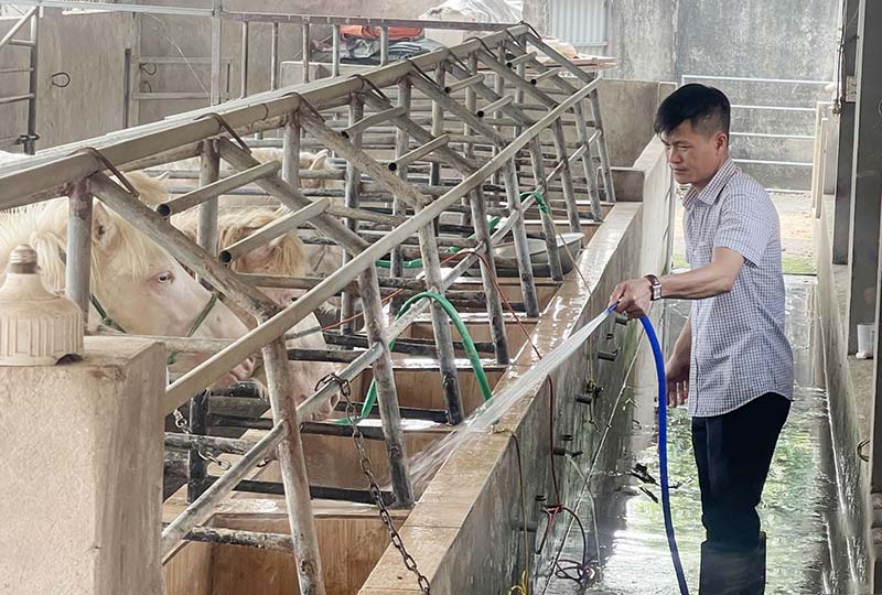 chăn nuôi thái nguyên