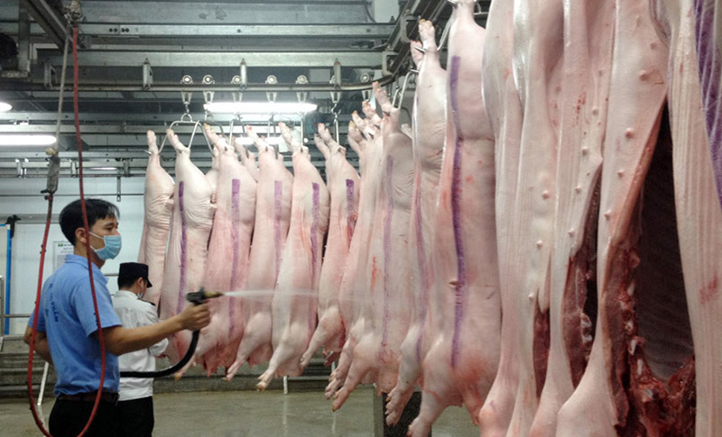 vùng an toàn dịch bệnh động vật