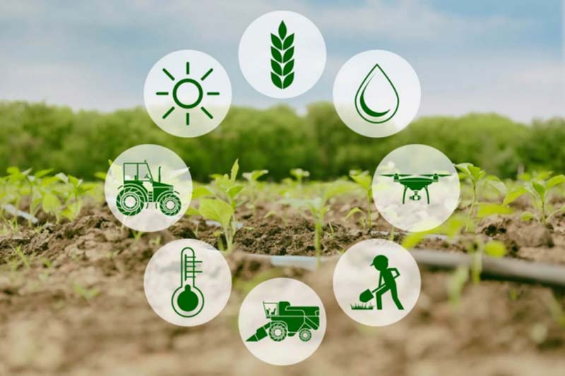 điều kiện kinh doanh nông nghiệp