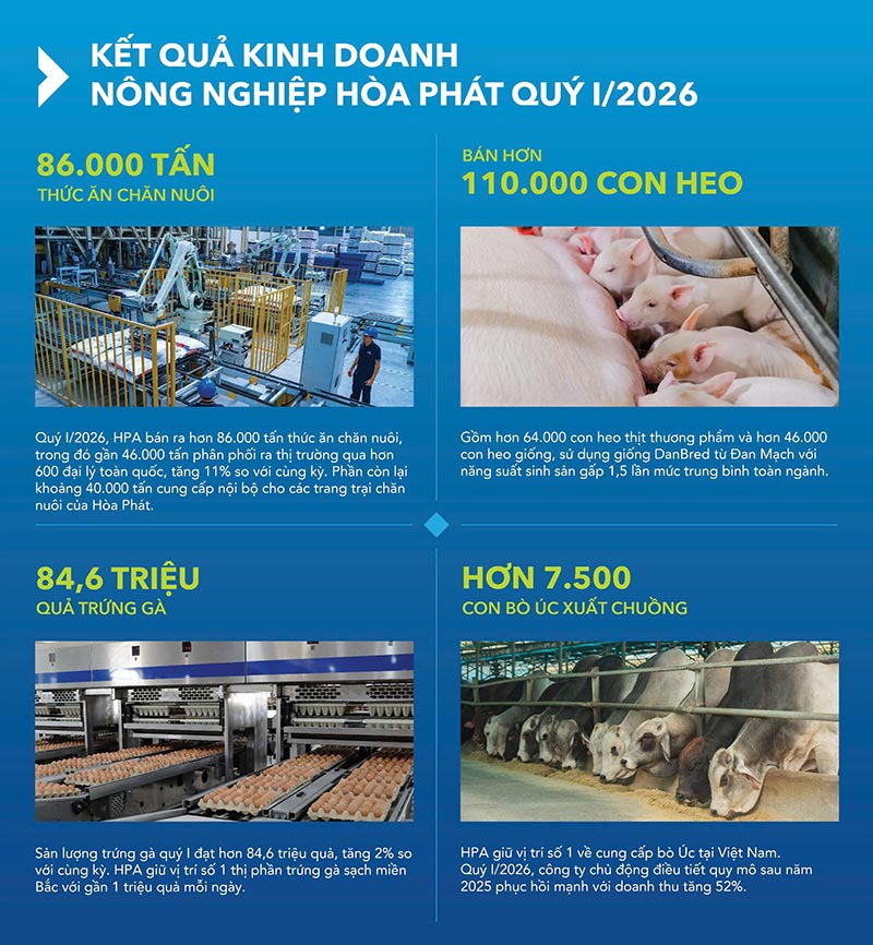 kết quả kinh doanh nông nghiệp hòa phát