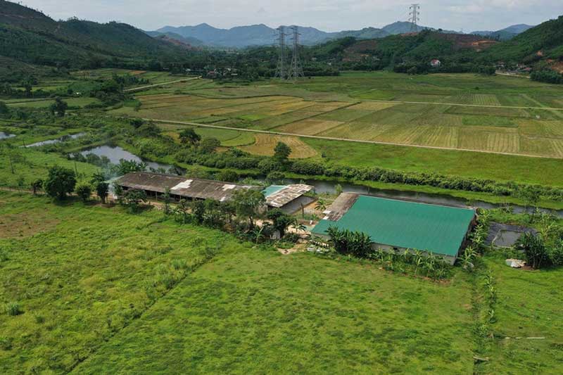 nuôi chồn sọc sinh sản