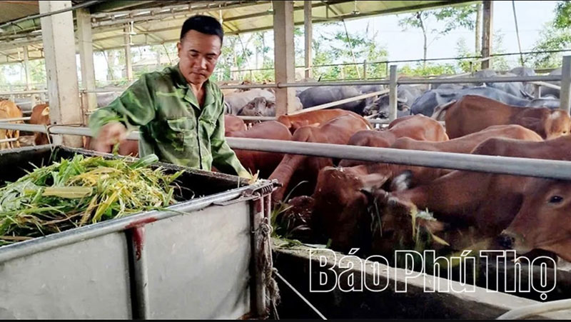 phụ phẩm nông nghiệp