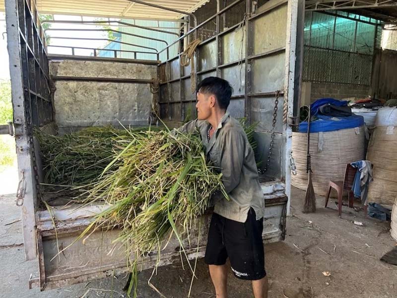 bảo vệ vật nuôi mùa nắng nóng