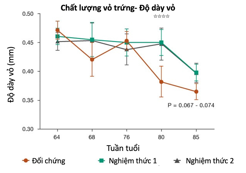 chất lượng vỏ trứng