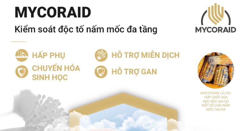 MYCORAID