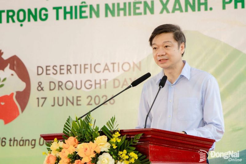 C.P. Việt Nam