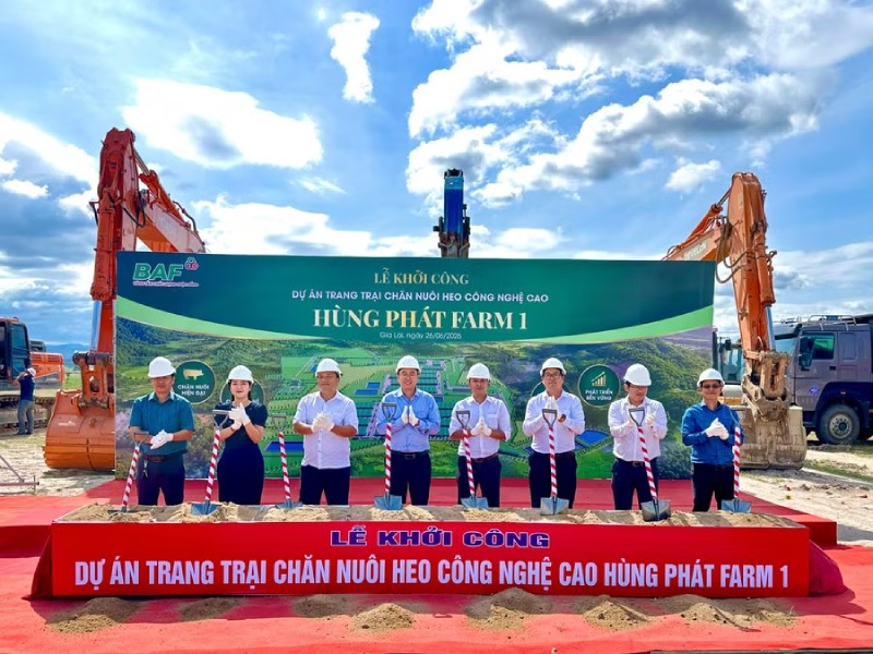 BAF Việt Nam