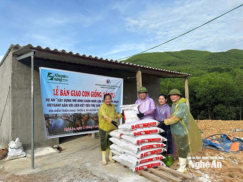 chăn nuôi VietGapHP