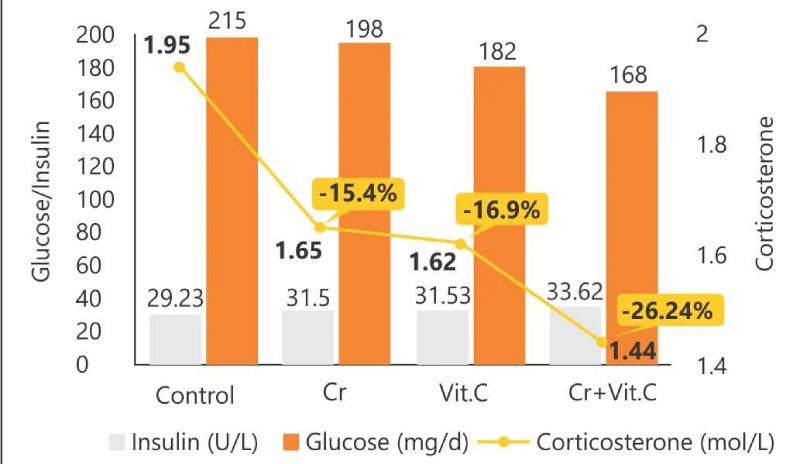 Tác dụng của Crom và Vitamin C với đường huyết, insulin và corticosterone