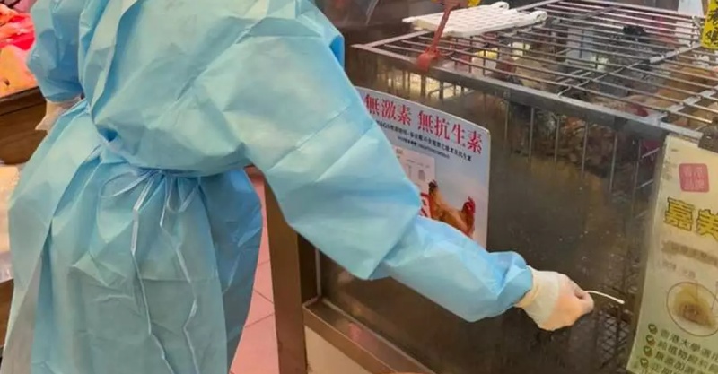 cúm gia cầm H9