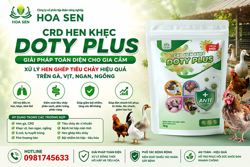 DOTY PLUS