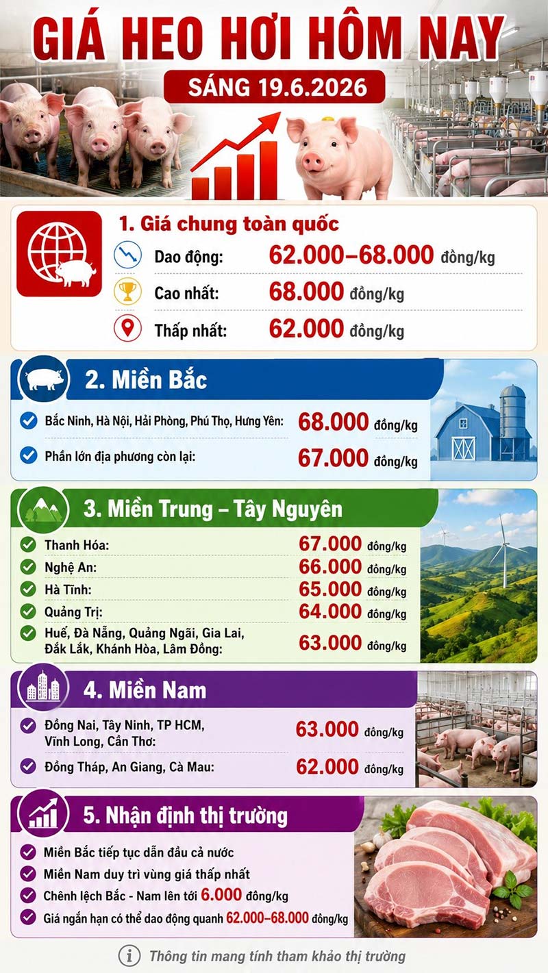 giá heo hơi hôm nay