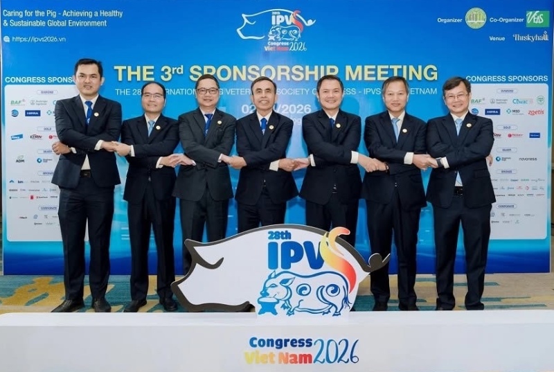 IPVS 2026