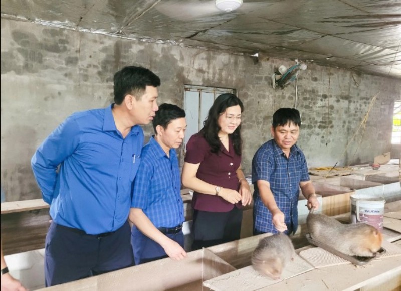 Nông dân sản xuất kinh doanh giỏi