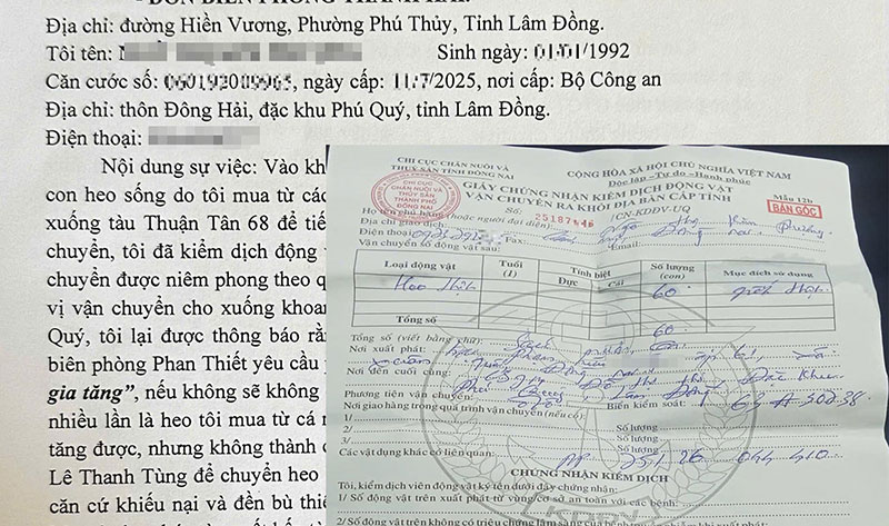 vận chuyển gia súc