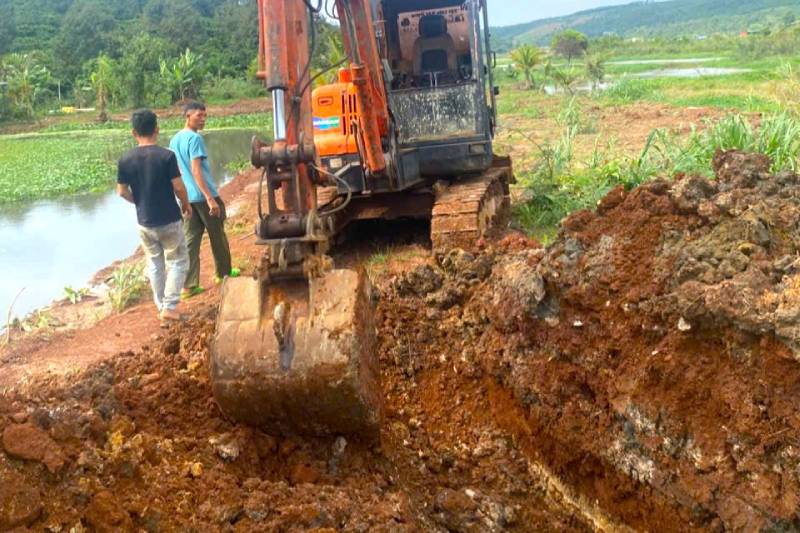 trung chuyển heo gây ô nhiễm