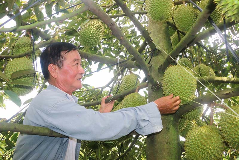 luật nông nghiệp