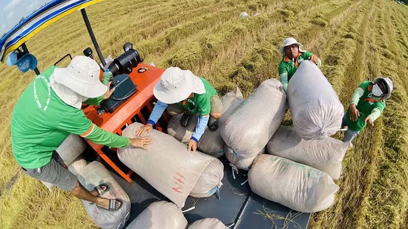 luật nông nghiệp
