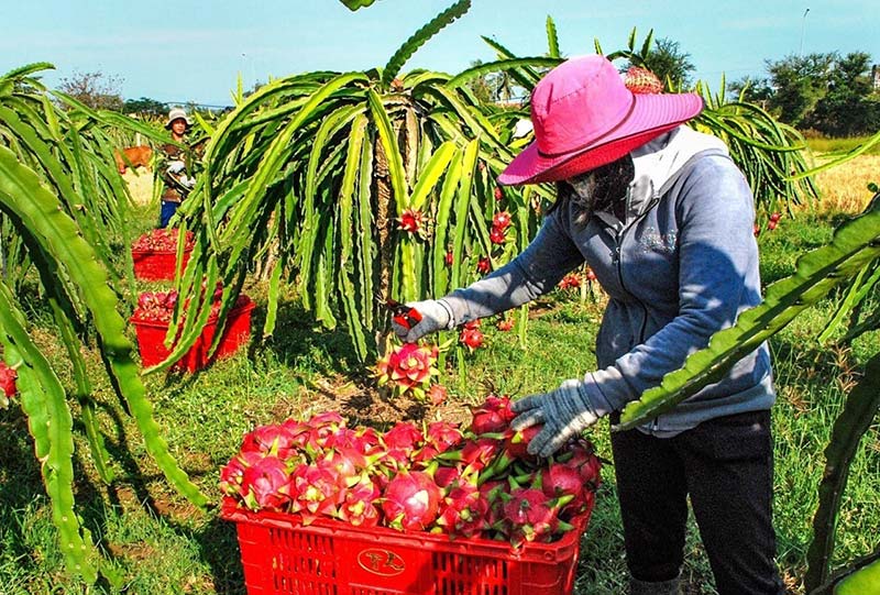 luật nông nghiệp