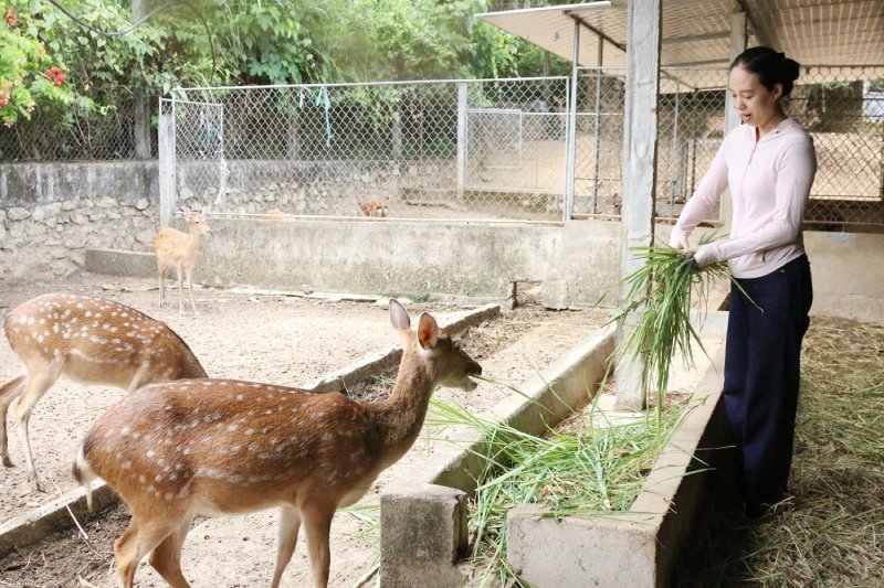 nghề nuôi hươu