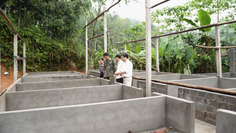 nuôi lợn an toàn