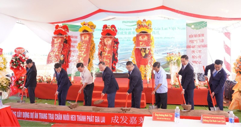 Thành Phát Gia Lai