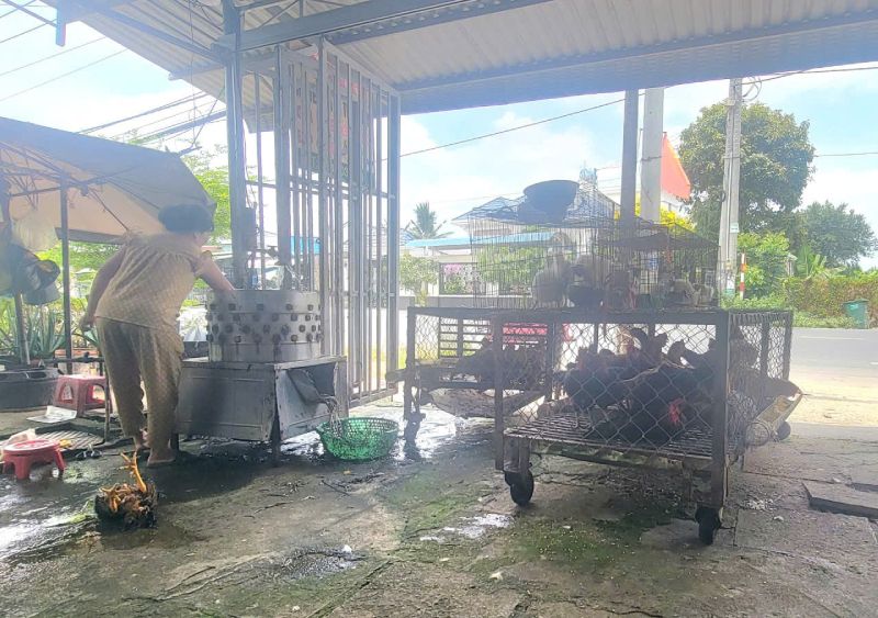Truy xuất nguồn gốc thịt heo