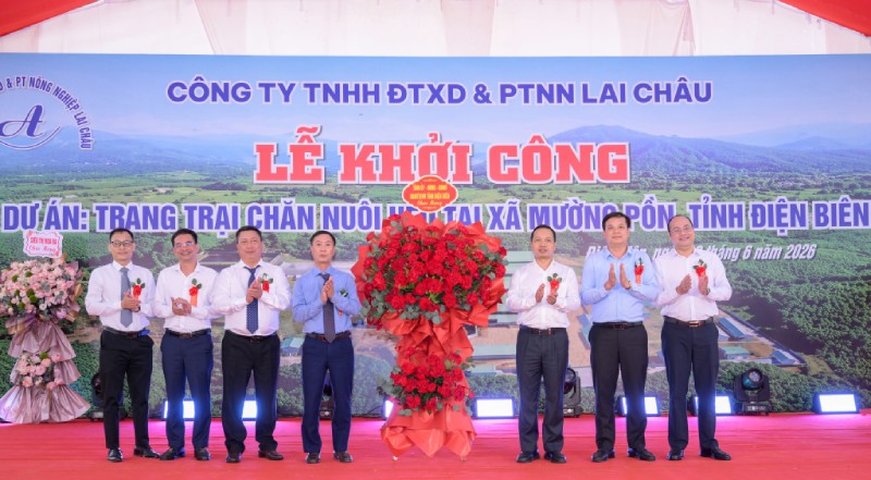 Trang trại chăn nuôi heo tại xã Mường Pồn