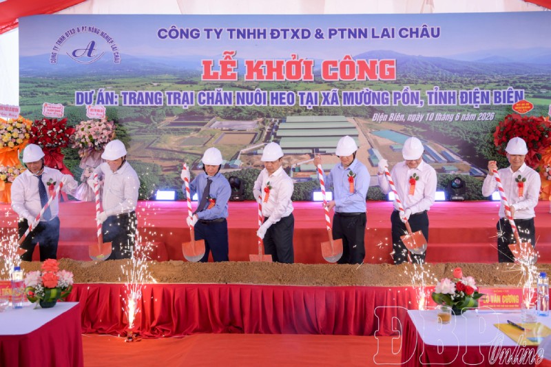 Trang trại chăn nuôi heo tại xã Mường Pồn