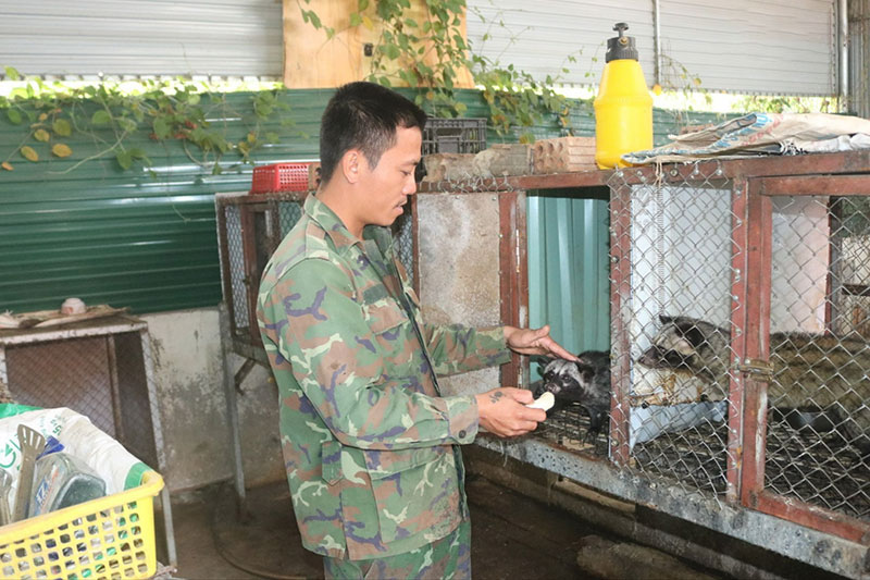 vật nuôi mới