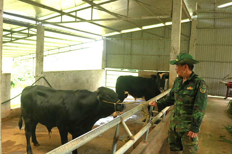 vật nuôi mới