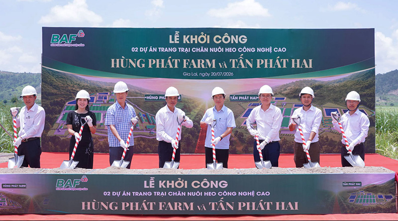 BAF Việt Nam
