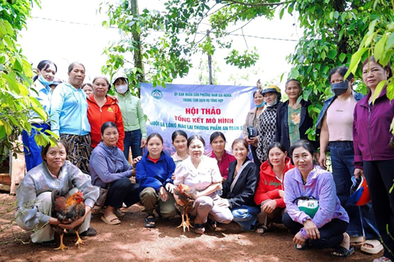 nuôi gà an toàn sinh học