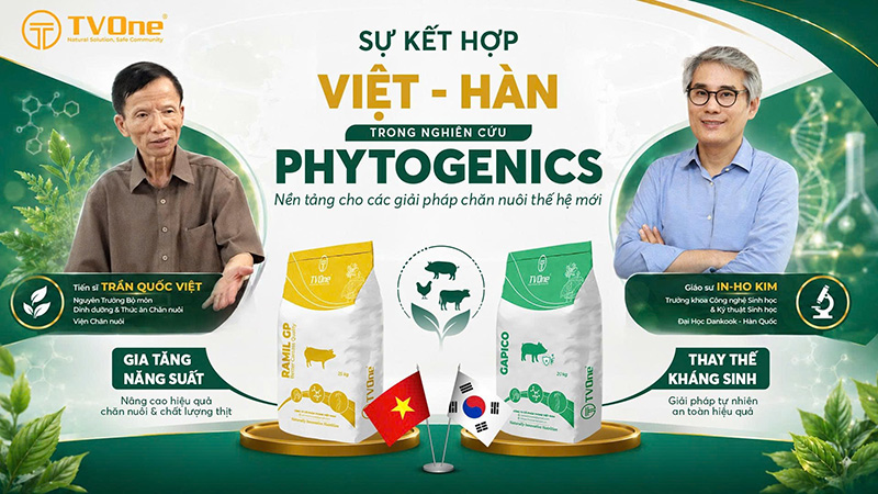 Phytogenics TVOne