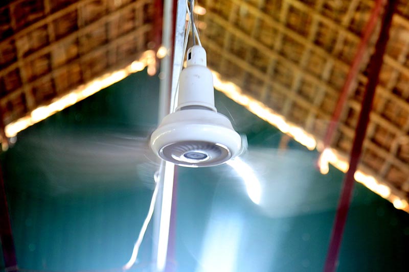 trại nuôi chồn hương tiền tỷ