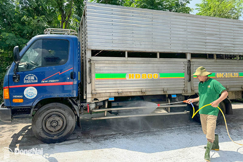 dịch tả heo châu phi