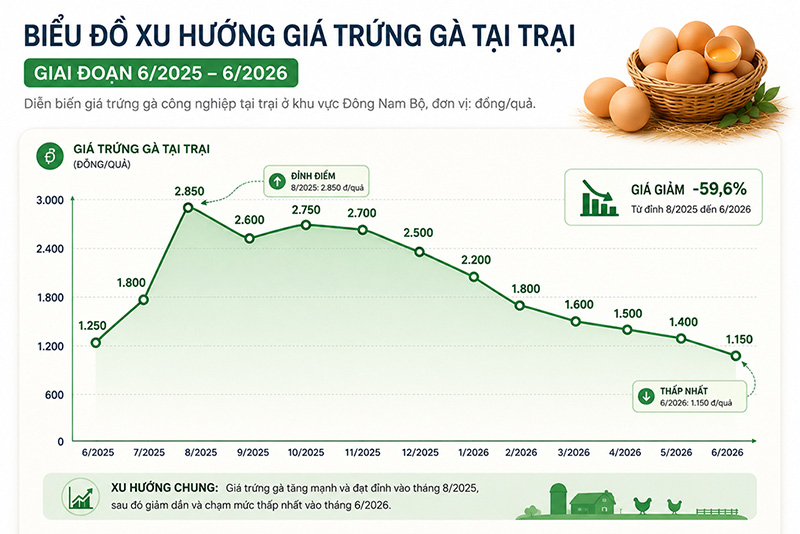 xu hướng giá trứng