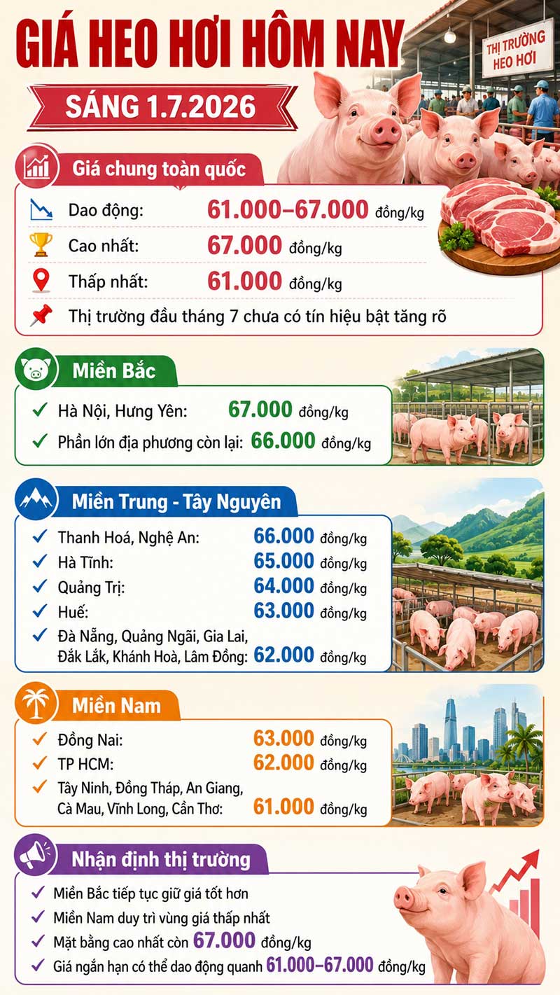giá heo hơi hôm nay