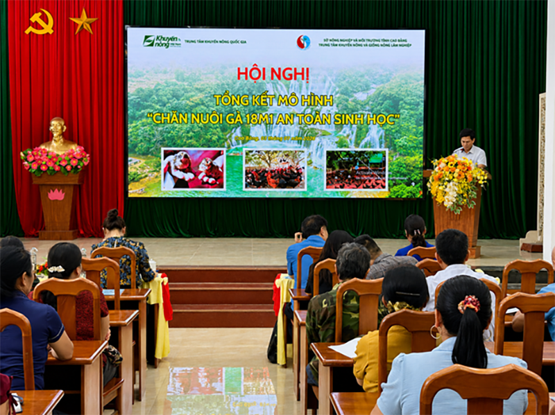 mô hình chăn nuôi gà thương phẩm lông màu 18M1