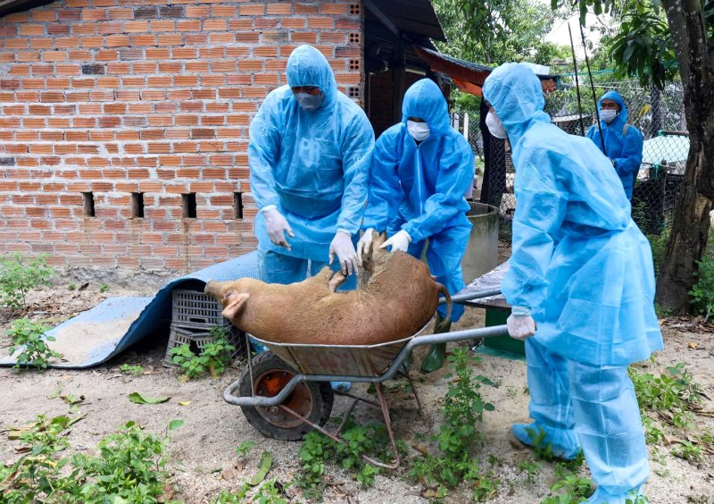 hỗ trợ dịch bệnh