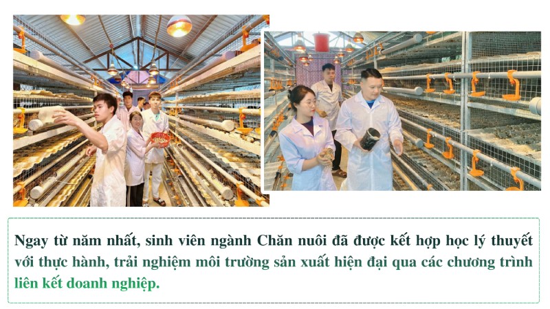 kỹ sư chăn nuôi 4.0