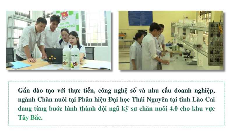 kỹ sư chăn nuôi 4.0