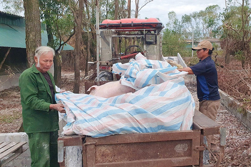 chăn nuôi sinh học