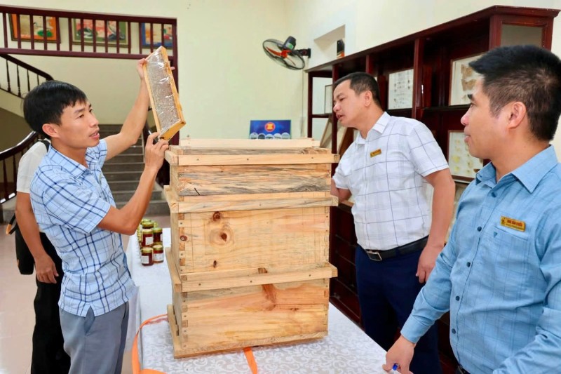 Giải pháp phát triển nuôi ong bền vững