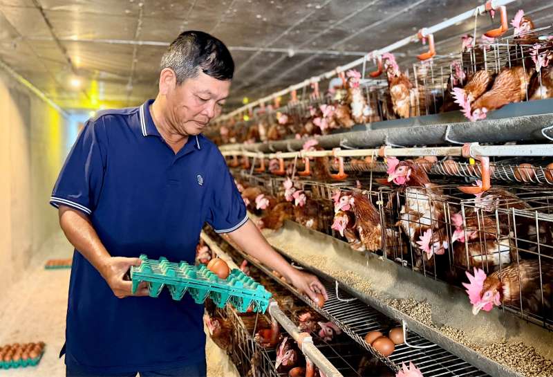 chăn nuôi công nghệ cao