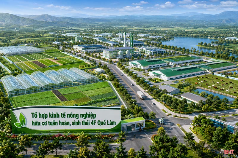 4F Quế Lâm